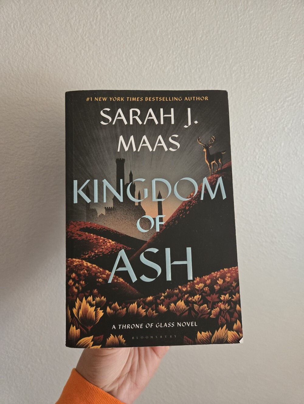 Kingdom of Ash Paperback